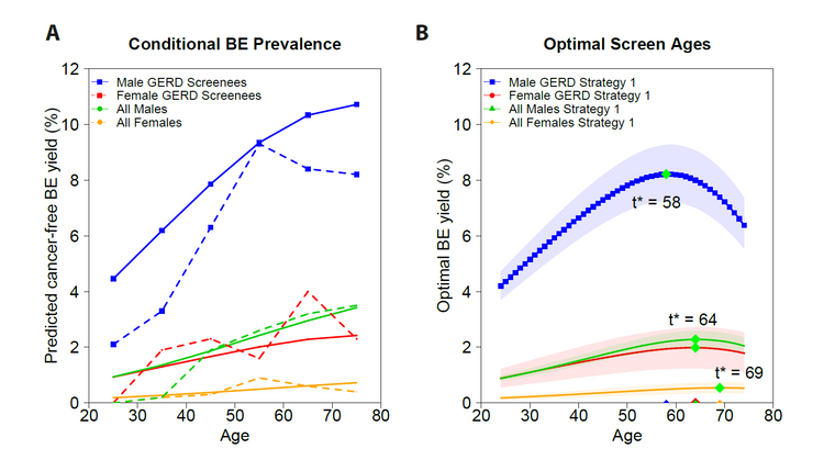 Mathematical modeling suggests older ages for beginning screening