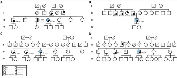 Importance of family history in Barrett's and esophageal adenocarcinoma