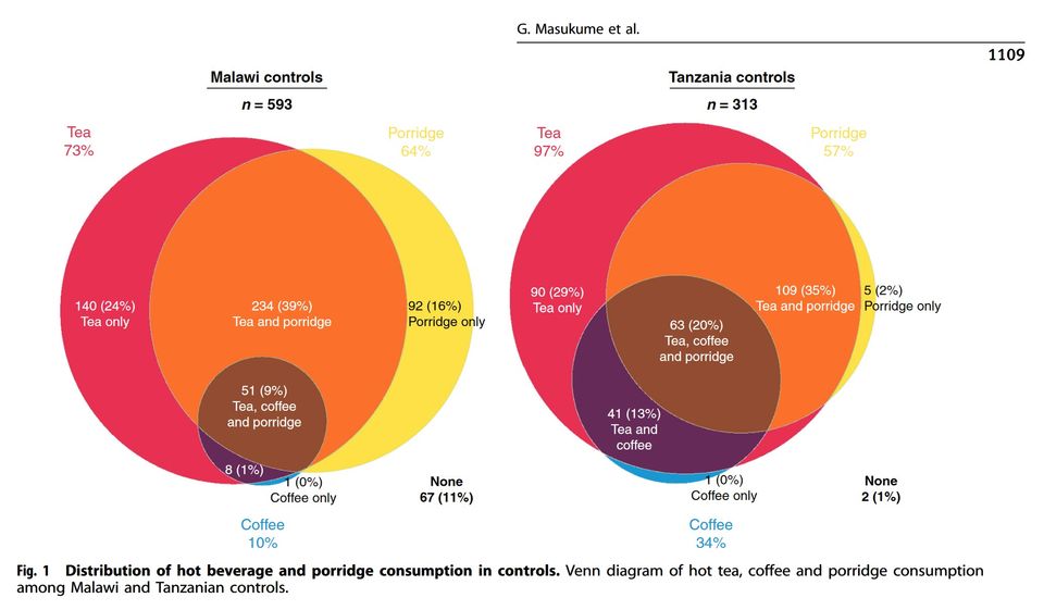 Hot food and beverages and risk of esophageal squamous cell carcinoma in Africa